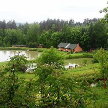 Vila Dolina 4 Stawow Krzywcza Exteriér fotografie