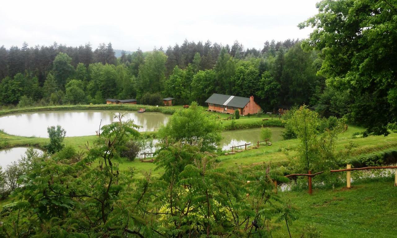 Vila Dolina 4 Stawow Krzywcza Exteriér fotografie