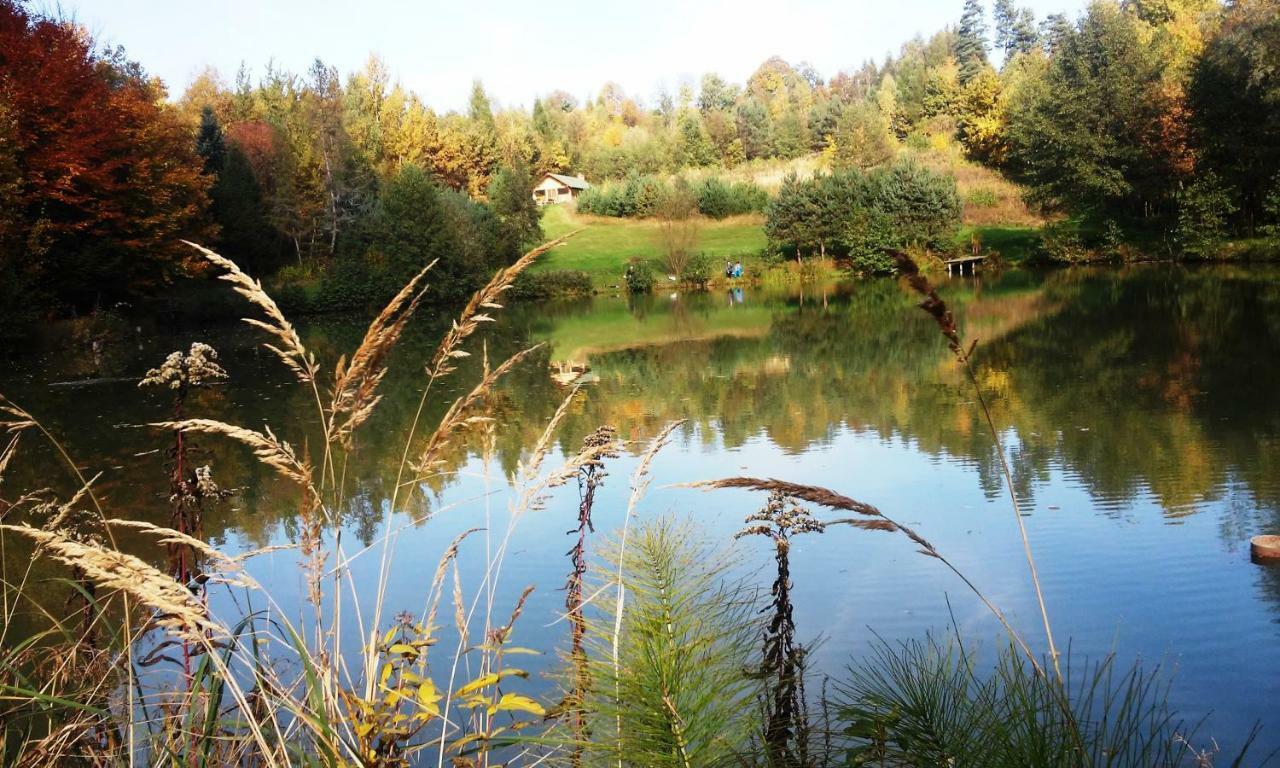 Vila Dolina 4 Stawow Krzywcza Exteriér fotografie